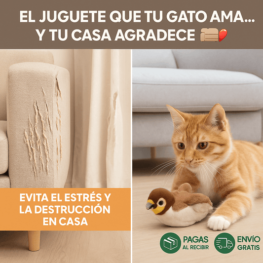 Aleteo Volador – El juguete que tu gato estaba esperando
